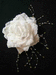 Большая белая роза